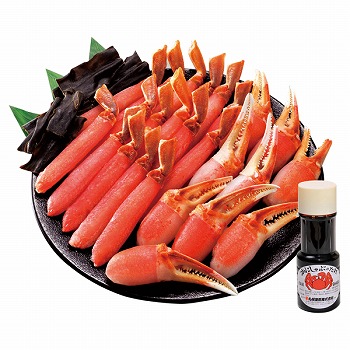 DyI 킢IԃZbg (12-K)